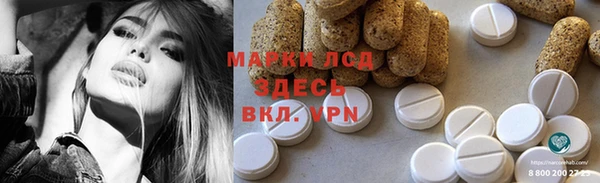 гидра Заводоуковск