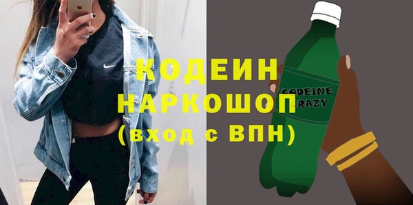 гидра Заводоуковск