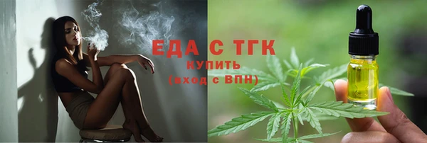 гидра Заводоуковск