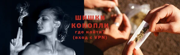 гидра Заводоуковск