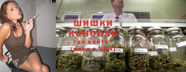 гидра Заводоуковск