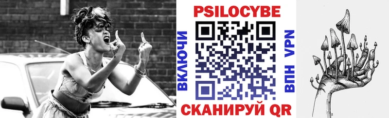 Купить  Константиновск  Галлюциногенные грибы Psilocybe 